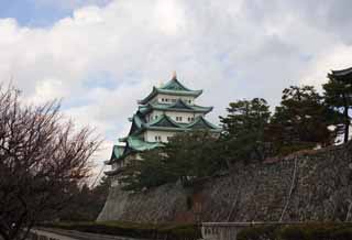 fotografia, materiale, libero il panorama, dipinga, fotografia di scorta,Nagoya-jo il Castello, picca di balena mortale, castello, La torre di castello, 