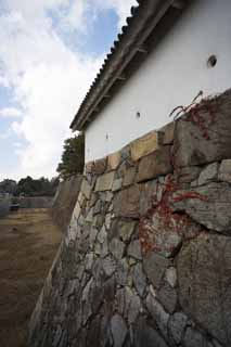 photo,material,free,landscape,picture,stock photo,Creative Commons,Nagoya-jo Castle, moat, castle, castle wall, Ishigaki