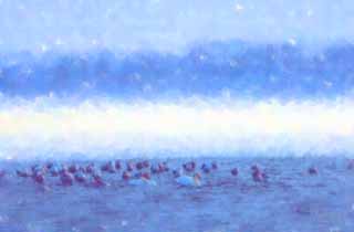 illust, materiell, befreit, Landschaft, Bild, Gemlde, Farbbleistift, Wachsmalstift, Zeichnung,,Winter des Tohfutsu-Sees, Schwan, Mwe, Lake ordnet Hutu ein, Es ist schneebedeckt