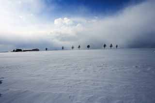 Foto, materiell, befreit, Landschaft, Bild, hat Foto auf Lager,Ein Hgel eines Mrchens, Baum, schneebedecktes Feld, blauer Himmel, Wolke