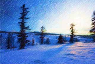 illust, matire, libre, paysage, image, le tableau, crayon de la couleur, colorie, en tirant,Arbres d'un champ neigeux, champ neigeux, conifre, Le soleil, J'ai froid