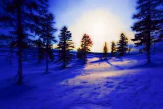 illustration,material,free,landscape,picture,painting,color pencil,crayon,drawing,Trees of a snowy field, snowy field, conifer, The sun, I am cold