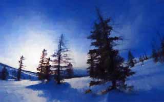 illust, matire, libre, paysage, image, le tableau, crayon de la couleur, colorie, en tirant,Arbres d'un champ neigeux, champ neigeux, conifre, Le soleil, J'ai froid