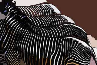 illust, material, livram, paisagem, quadro, pintura, lpis de cor, creiom, puxando,Uma faixa de uma zebra, Um cavalo de ilha, zebra, pastando animal, A juba