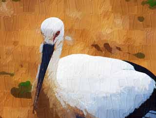 illust, materiell, befreit, Landschaft, Bild, Gemlde, Farbbleistift, Wachsmalstift, Zeichnung,,Ein Storch, Storch, , Rechnung, 