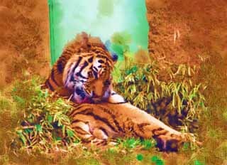 illust, material, livram, paisagem, quadro, pintura, lpis de cor, creiom, puxando,Um tigre, tigre, , , 