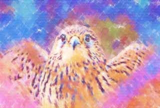 illust, materiell, befreit, Landschaft, Bild, Gemlde, Farbbleistift, Wachsmalstift, Zeichnung,,Ein Turmfalke, , Turmfalke, Raptores, 