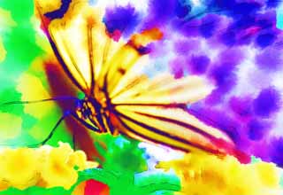 illust, materiale, libero panorama, ritratto dipinto, matita di colore disegna a pastello, disegnando,La bellezza di una farfalla, farfalla, , , fiore