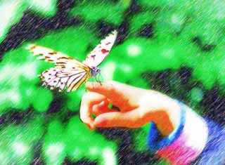 illust, materiell, befreit, Landschaft, Bild, Gemlde, Farbbleistift, Wachsmalstift, Zeichnung,,Ein Mdchen und ein Schmetterling, Schmetterling, , , Blume