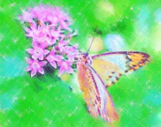 illust, matire, libre, paysage, image, le tableau, crayon de la couleur, colorie, en tirant,Un repas d'un papillon, papillon, , , fleur