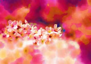illust,tela,gratis,paisaje,fotografa,idea,pintura,Lpiz de color,dibujo,Cerezo flor lleno, Cerezo, , , Cerezo de Yoshino