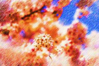illust, materiale, libero panorama, ritratto dipinto, matita di colore disegna a pastello, disegnando,Albero Ciliegio il pieno fiore, albero ciliegio, , , Yoshino albero ciliegio