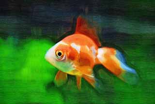 illust, matire, libre, paysage, image, le tableau, crayon de la couleur, colorie, en tirant,LARA d'un poisson rouge, poisson rouge, , , 