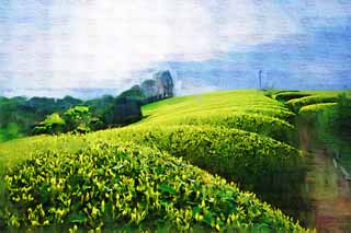 illustration,material,free,landscape,picture,painting,color pencil,crayon,drawing,A tea plantation of Nihondaira, Tea, tea plantation, furrow, tea-leaf