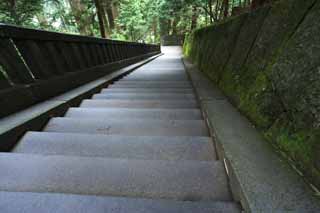 photo,material,free,landscape,picture,stock photo,Creative Commons,A stone stairway of Tosho-gu Shrine, stone stairway, Stairs, Moss, cedar