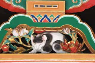 ,,, ,,,   Tosho-gu   ,  .,  , Hidari Jingoro.  ,   .  