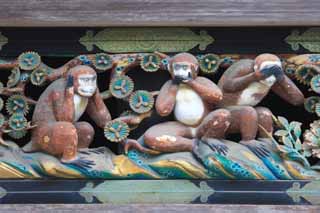 photo,material,free,landscape,picture,stock photo,Creative Commons,The three monkeys of Tosho-gu Shrine, The three monkeys, I don't look, I don't say, I don't hear it