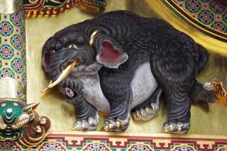 foto,tela,gratis,paisaje,fotografa,idea,Un elefante de la imaginacin de Tosho - Shrine de gu, Un elefante de la imaginacin, Pan de oro, Un animal, 