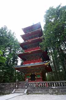 Foto, materieel, vrij, landschap, schilderstuk, bevoorraden foto,Vijf Storeyed Pagoda van Tosho-gu Heiligdom, Tosho-gu Heiligdom, Vijf Storeyed Pagoda, Ik ben cinnabar rood, Wereld heritage