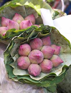 photo, la matire, libre, amnage, dcrivez, photo de la rserve,Un bouquet d'un lotus, lotus, , , bouquet