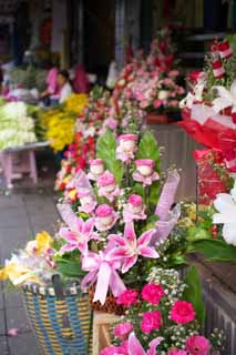 foto,tela,gratis,paisaje,fotografa,idea,Uno flower basket de una rosa, Rosa, , , Lirio