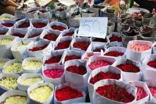 photo,material,free,landscape,picture,stock photo,Creative Commons,The rose counter, rose, , , market