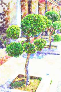 illust, materiell, befreit, Landschaft, Bild, Gemlde, Farbbleistift, Wachsmalstift, Zeichnung,,Eine Gartenpflanze von Wat Suthat, Tempel, Bonsai, Gartenpflanze, Bangkok