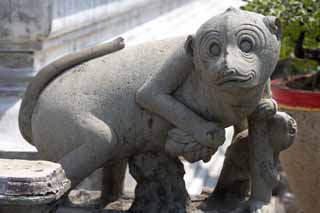 Foto, materiell, befreit, Landschaft, Bild, hat Foto auf Lager,Ein Bild des Tempels von Dawn, Tempel, steinigen Sie Statue, Affe, Bangkok