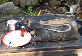 photo, la matire, libre, amnage, dcrivez, photo de la rserve,Un outil pour coupe de la noix de coco, Nourriture, paume, Lasi, noix de coco