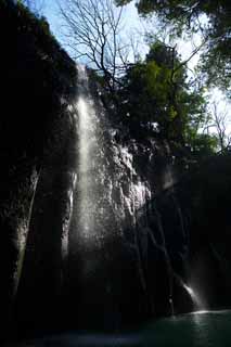 Foto, materiell, befreit, Landschaft, Bild, hat Foto auf Lager,Ein Wasserfall von Takachiho-kyo frisst sich voll, Schlucht, Backlight, Klippe, natrliches Monument
