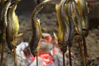 photo,material,free,landscape,picture,stock photo,Creative Commons,Charcoal lighting a fire of a sweetfish, sweetfish, , , sweet fish