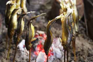 Foto, materiell, befreit, Landschaft, Bild, hat Foto auf Lager,Kohle, die ein Feuer von einem sweetfish anzndet, sweetfish, , , lieber Fisch