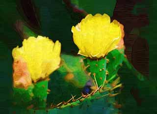 illust, materiale, libero panorama, ritratto dipinto, matita di colore disegna a pastello, disegnando,Un fiore giallo di un cactus, , cactus, , 