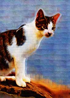 illust, material, livram, paisagem, quadro, pintura, lpis de cor, creiom, puxando,Gato fresco, gato, , , 