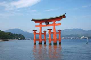 photo,material,free,landscape,picture,stock photo,Creative Commons,Otorii of Itsukushima-jinja Shrine, World's cultural heritage, Otorii, Shinto shrine, I am cinnabar red