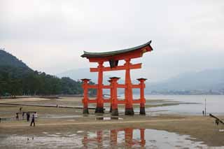 photo, la matire, libre, amnage, dcrivez, photo de la rserve,Otorii de temple Itsukushima-jinja, L'hritage culturel de Monde, Otorii, Temple shintoste, Je suis rouge du cinabre