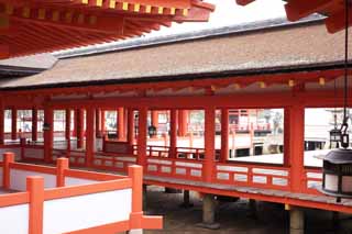 photo, la matire, libre, amnage, dcrivez, photo de la rserve,Un couloir de Temple Itsukushima-jinja, L'hritage culturel de Monde, Otorii, Temple shintoste, Je suis rouge du cinabre