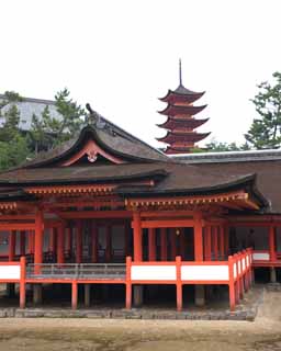 foto,tela,gratis,paisaje,fotografa,idea,Un santuario principal de Itsukushima - Shrine de jinja, La herencia cultural de mundo, Santuario principal, Santuario sintosta, Soy el rojo de cinnabar