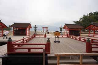 fotografia, materiale, libero il panorama, dipinga, fotografia di scorta,Il palcoscenico alto di Sacrario di Itsukushima-jinja, L'eredit culturale di Mondo, sacrario principale, Sacrario scintoista, Io sono cinabro rosso