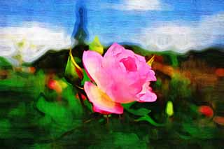 illust, materiell, befreit, Landschaft, Bild, Gemlde, Farbbleistift, Wachsmalstift, Zeichnung,,Schchternheit einer Rose, Rose, , , Rosa