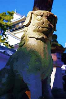 illust,tela,gratis,paisaje,fotografa,idea,pintura,Lpiz de color,dibujo,Un par de tutor perros de piedra de Shrine de castillo de dragn, Estatua de piedra, Par de tutor perros de piedra, Mejor, 