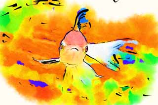 illust, materiale, libero panorama, ritratto dipinto, matita di colore disegna a pastello, disegnando,Mezzo di un bianco solleva con una gru con una cresta rossa, pinna, ciprino dorato, Un pesce di ammirazione, Rosso e bianco