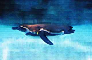 illustration,material,free,landscape,picture,painting,color pencil,crayon,drawing,An underwater flight, penguin, , , 