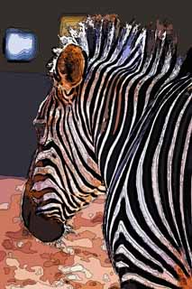 illust, materiell, befreit, Landschaft, Bild, Gemlde, Farbbleistift, Wachsmalstift, Zeichnung,,Ein Zebra, Ein Inselpferd, Zebra, , Die Mhne