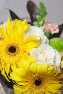 photo,material,free,landscape,picture,stock photo,Creative Commons,The bouquet which is an adult, flower, bouquet, The presentation, Yellow