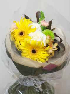 photo,material,free,landscape,picture,stock photo,Creative Commons,The bouquet which is an adult, flower, bouquet, The presentation, Yellow