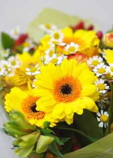 photo, la matire, libre, amnage, dcrivez, photo de la rserve,Un bouquet extravagant, fleur, bouquet, La prsentation, Jaune