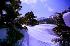 fotografia, materiale, libero il panorama, dipinga, fotografia di scorta,Mondo blu, neve, montagna, albero, 