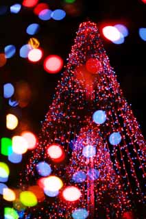 photo,material,free,landscape,picture,stock photo,Creative Commons,Christmas illuminations, X'mas, Illuminations, light, I am beautiful