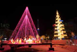 Foto, materiell, befreit, Landschaft, Bild, hat Foto auf Lager,Weihnachtsfestliche Beleuchtung, X'mas, Festliche Beleuchtung, Licht, Ich bin schn